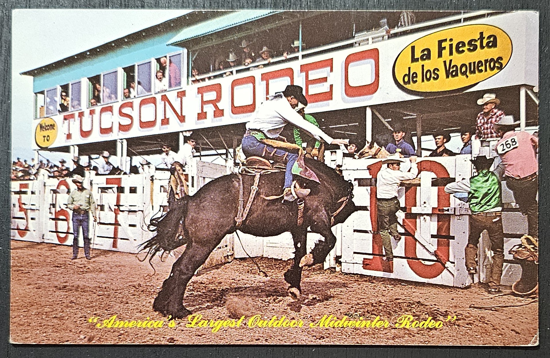 (image for) postcard USA - AZ - Arizona #0011